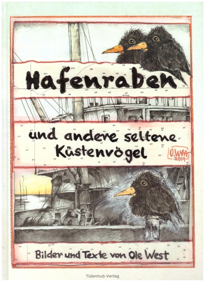 "Hafenraben und andere seltene Küstenvögel"